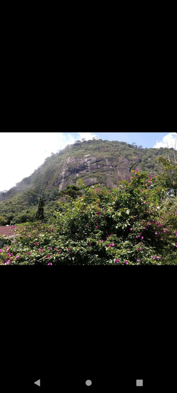Casa Junto Ao Parque Vila Teresópolis Exterior foto